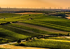 Teaser Desktop Carnuntum 2025 05