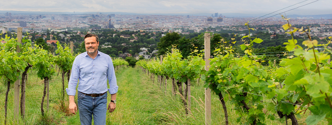 Person im Hemd steht in einem grünen Weinberg mit Stadtpanorama im Hintergrund.