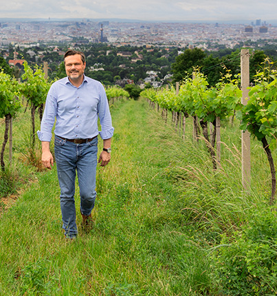 Mann spaziert lächelnd durch grünen Weinberg mit Stadt im Hintergrund.