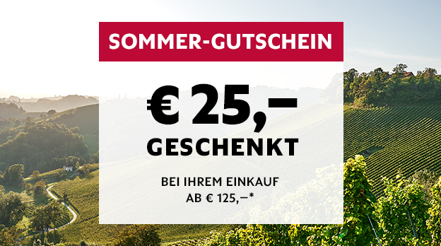 Faszinationselement Desktop Sommergutschein 3 2025 08