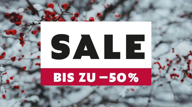 Faszinationselement 624x348 SALE