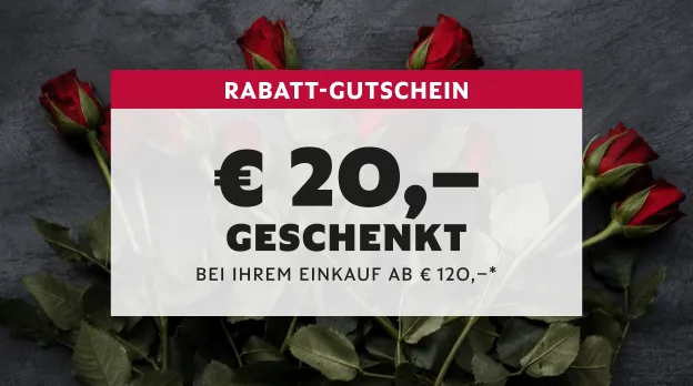 Faszinationselement 624x348 Valentin v2