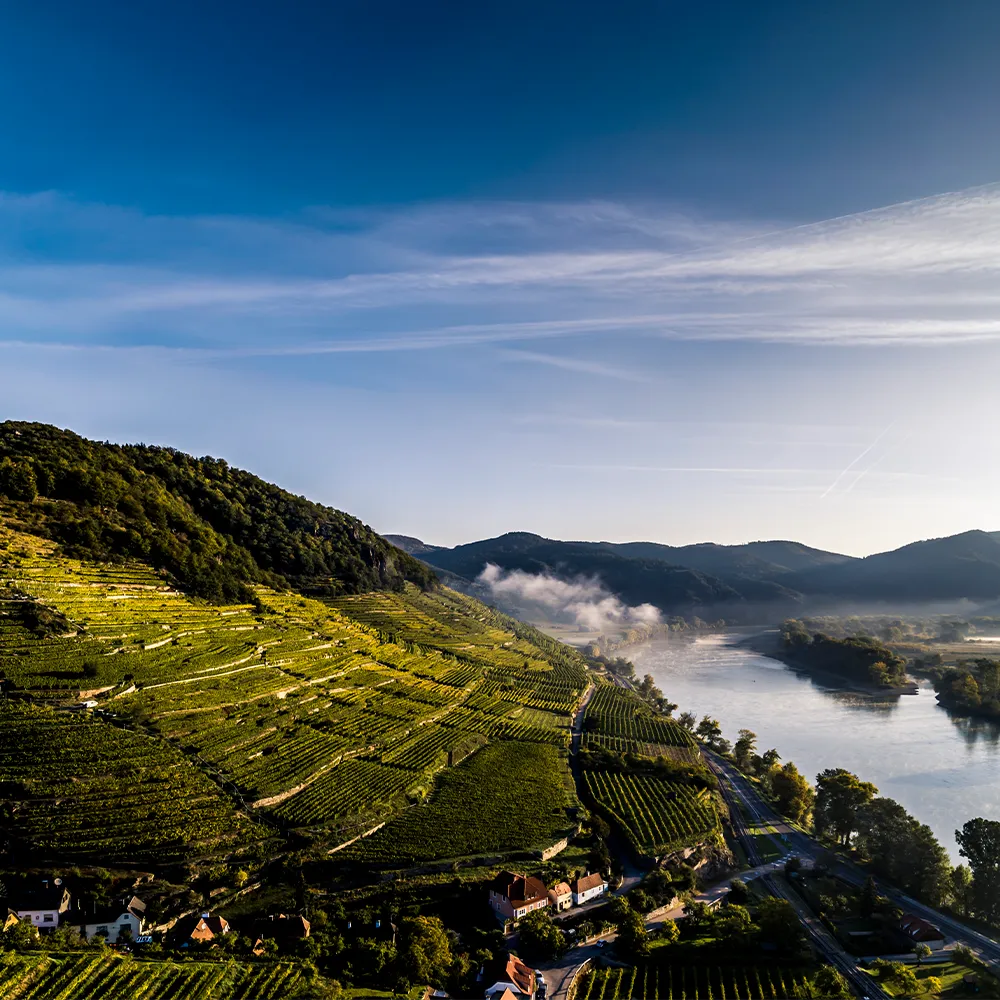 Faszinationselement 1000x1000 Wachau