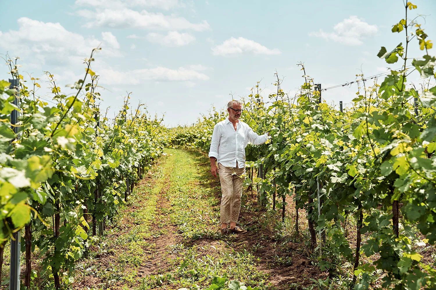 73 Prechtl 2024 Feichtinger