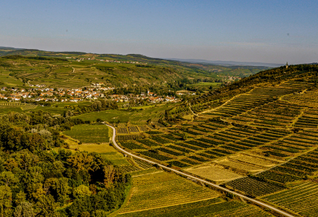 Kamptal Heiligenstein Zoebing header